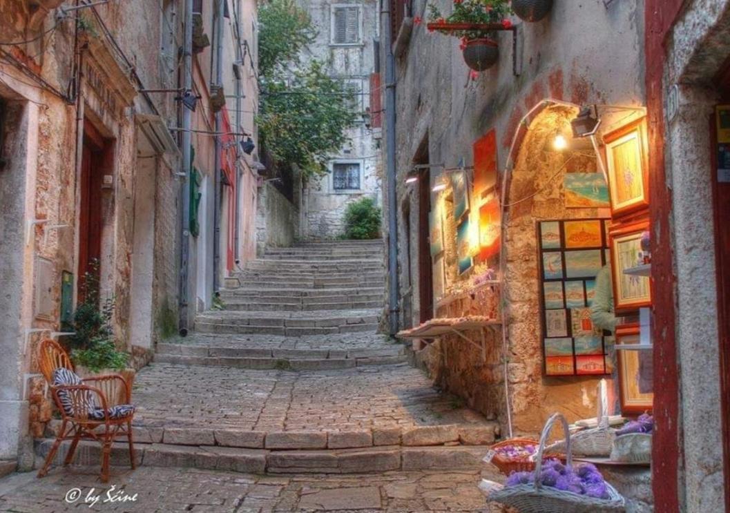 Apartments Mary & Free Parking Rovinj Værelse billede
