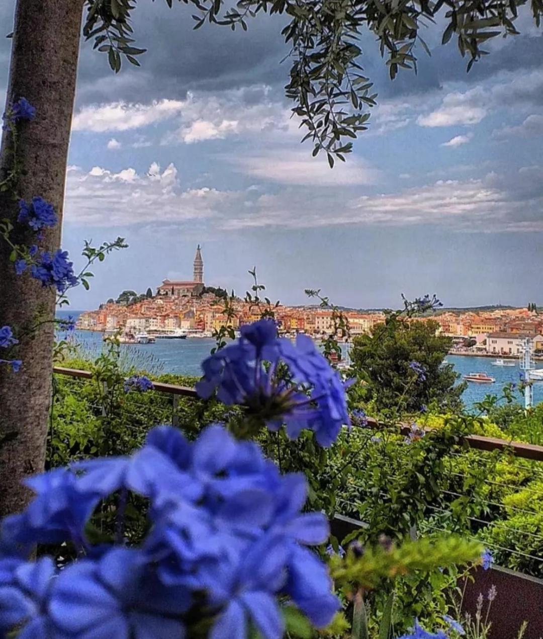 Apartments Mary & Free Parking Rovinj Værelse billede